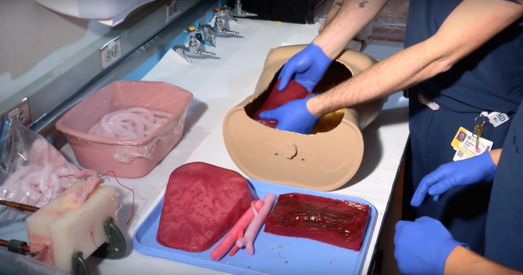 URMC researchers layer the modeled organs inside a simulated chest cavity. Screenshot via UR Medicine on YouTube