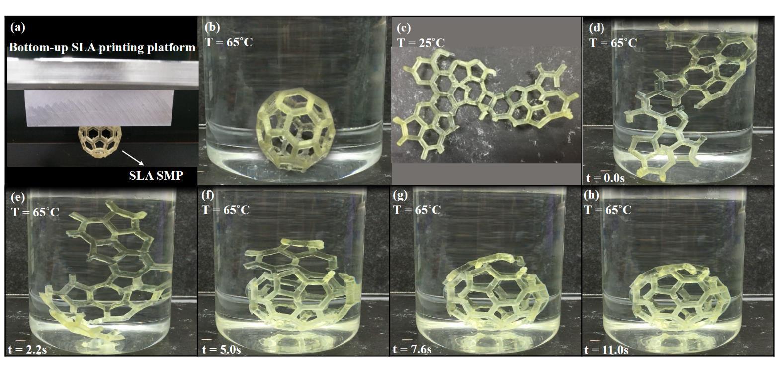 The 3D printed Bucky Ball was used in the researchers' evaluation and was able to change shape when submerged in 65 ̊C water. Image via Materials & Design. 