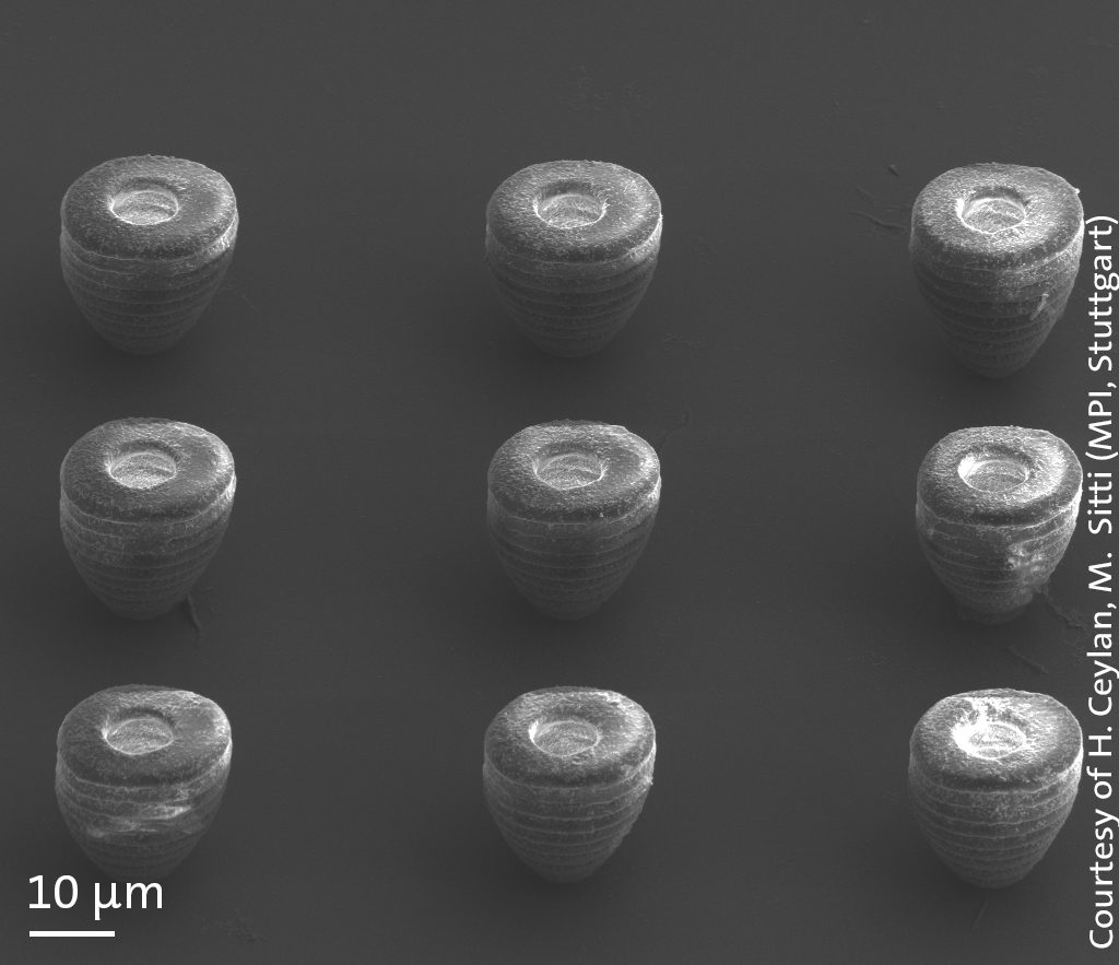 A fleet of 3D printed microswimmers. Image via Ceylan, Ceren Yasa & Sitti.