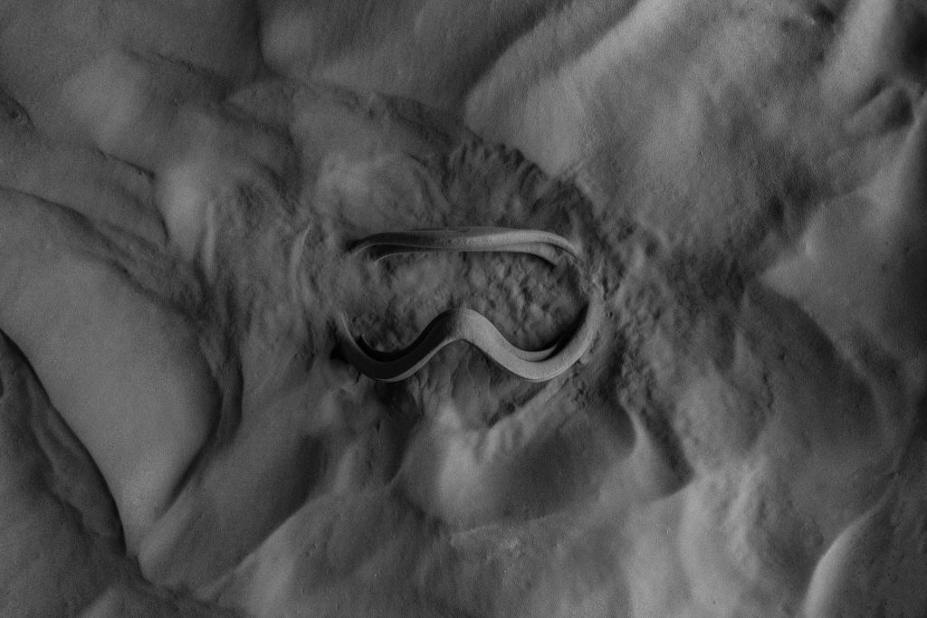 Ski goggles SLS 3D printed on the Fuse 1 and still in the powder bed. Photo via Formlabs