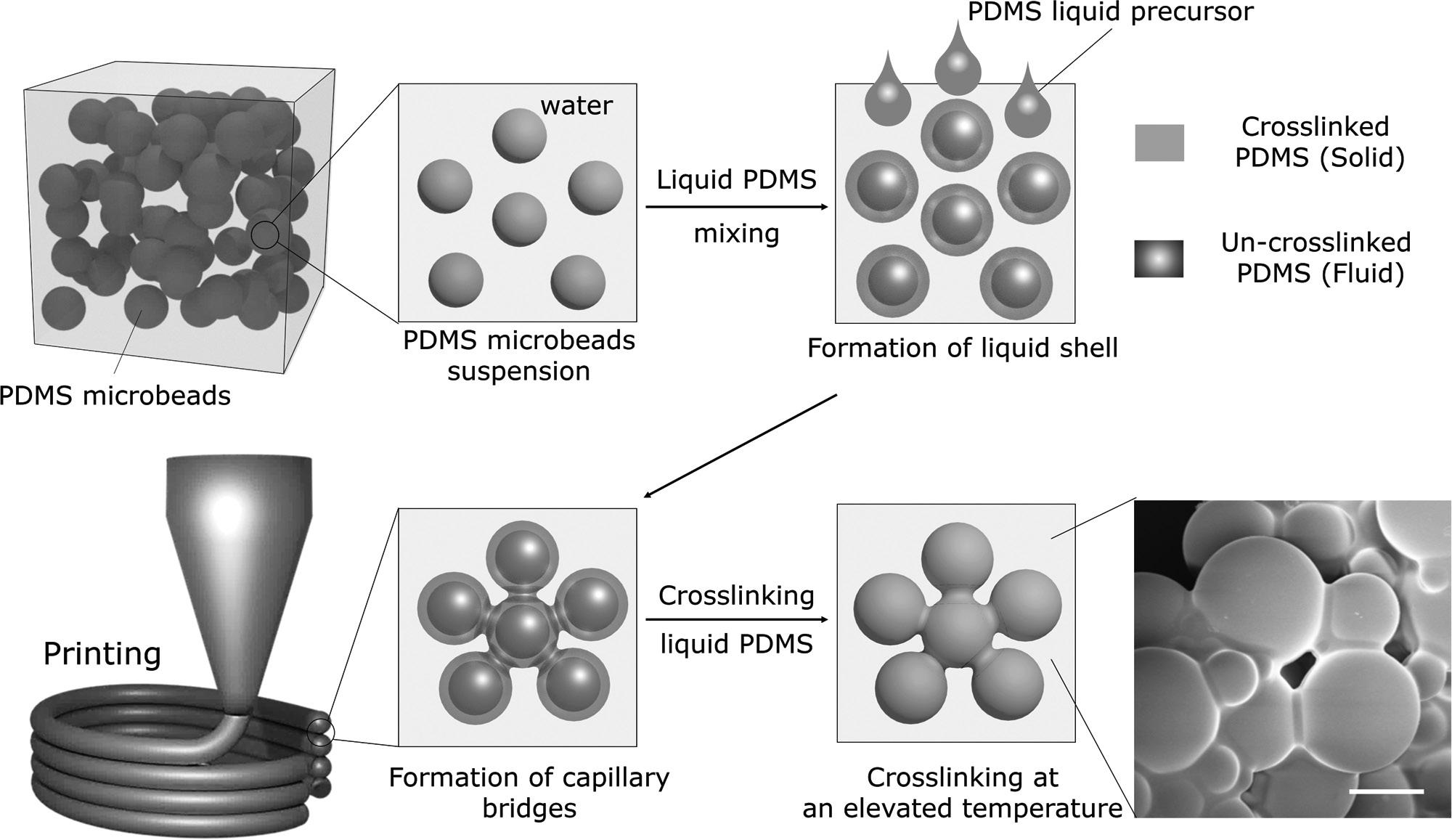 Figure 1 from the paper demonstrates the different stages and the silicone binding process. Image via Advanced Materials. 