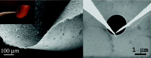 SEM image of germanium nanowires in a fabric. Figure via ACS Nano