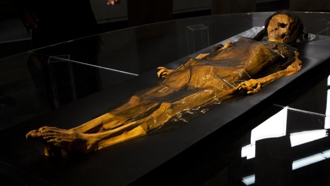 Lady of Cao's preserved skeleton which was used to create the 3D printed replica. Photo via Rodrigo Abd. 