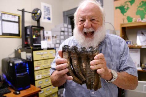 Dr. Jerre Johnson, who discovered the fossils in 1983. Photo via Brian McNeill.