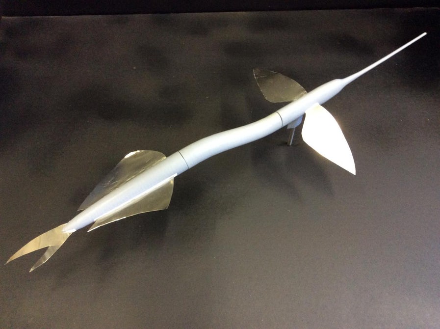 The 3D printed ribbon halfbeak model. Image Dr Yoshinobu Inada.