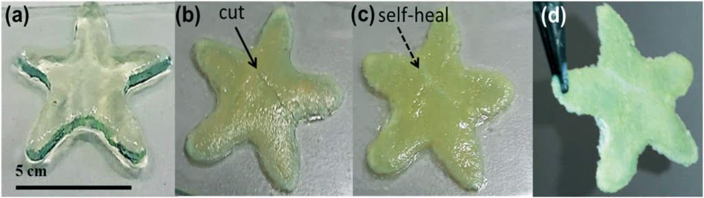 A 3D printed jelly sea star that can heal cuts. Image via Molecular Systems Design & Engineering