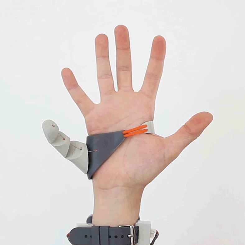 Gif shows the functional third thumb. Images via Dani Clode. 