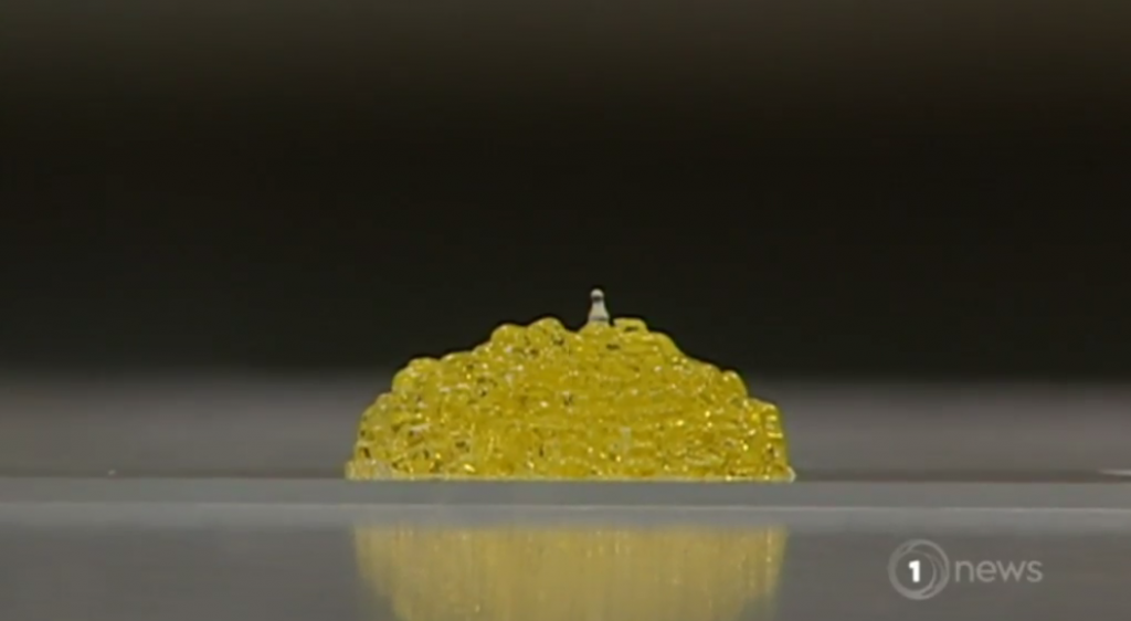 More than just jelly - this 3D printed sample combines cancer cells with fatty tissue for further study. Screengrab via TVNZ