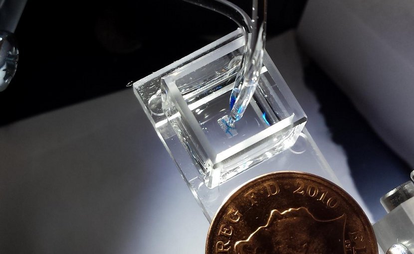 The 3D droplet bioprinter, developed by the University of Oxford and the University of Bristol. Photo by Sam Olof