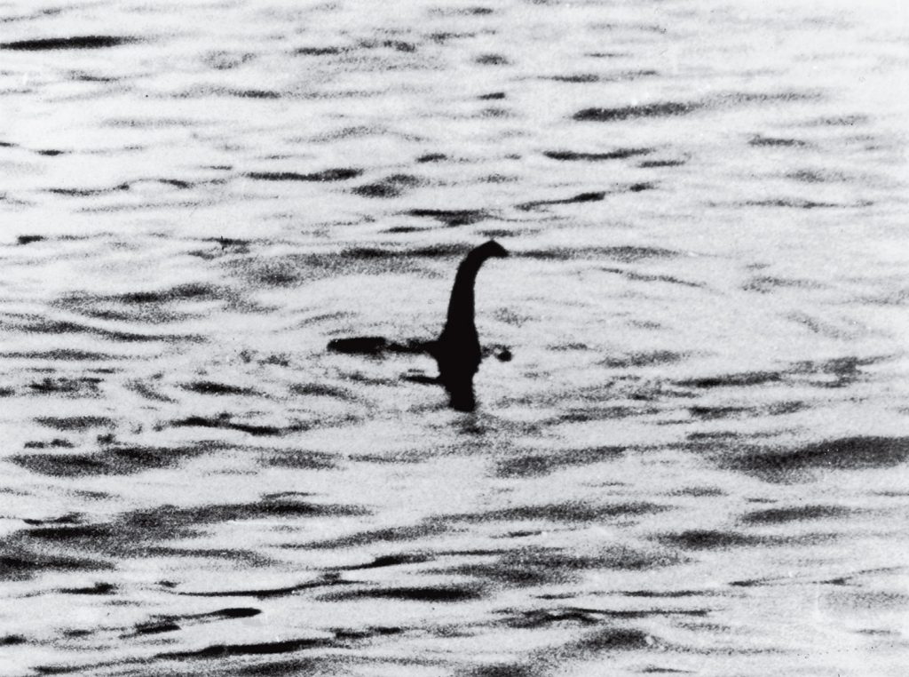 "Nessie" the Loch Ness Monster is often described as having an four-fin plesiosaur appears. Pictured above "Nessie" appears in the infamous "surgeon's photograph" hoax, as it appeared in the Daily Mail on 21 April 1934.