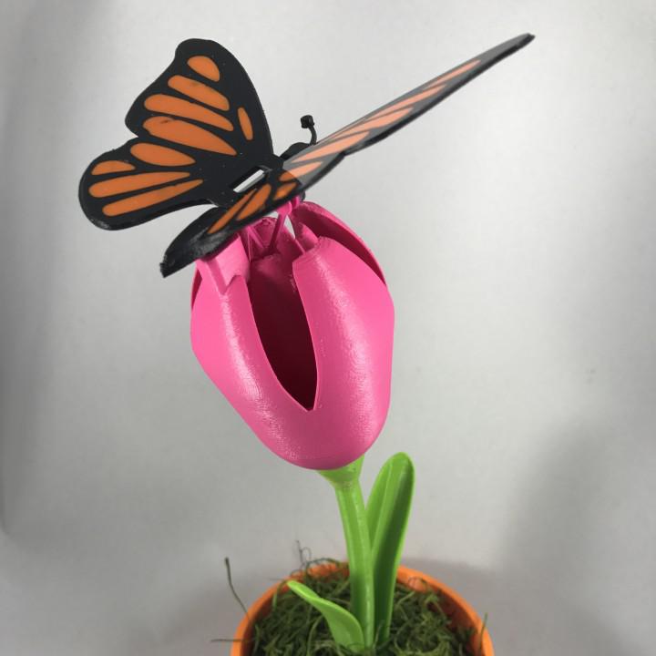 Butterfly, Animated
