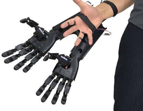 The Double hand with open fists. Photo via Youbionic.