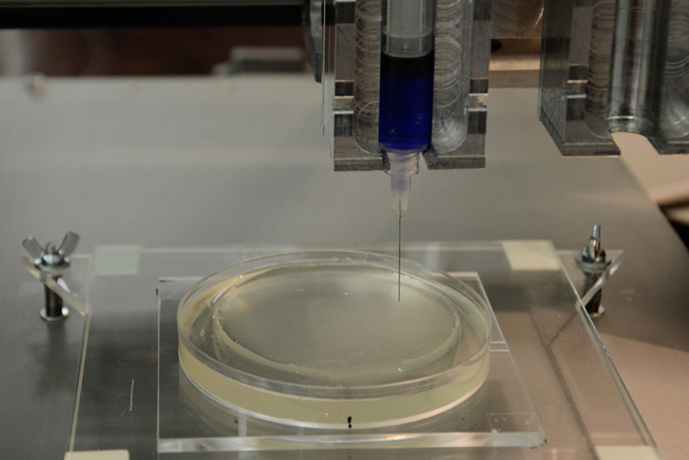 A gel matrix on the Vitaprint bioprinter. Photo via IRNAS