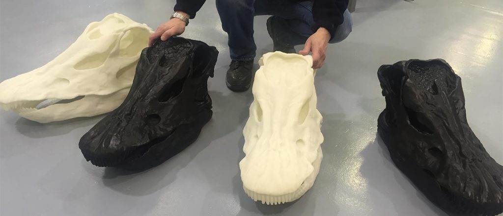 Four 3D printed resin replicas of Dippy's skull. Photo via NHM.