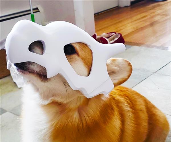 3D printable Cubon mask. Photo via Thingiverse user Aolesin.