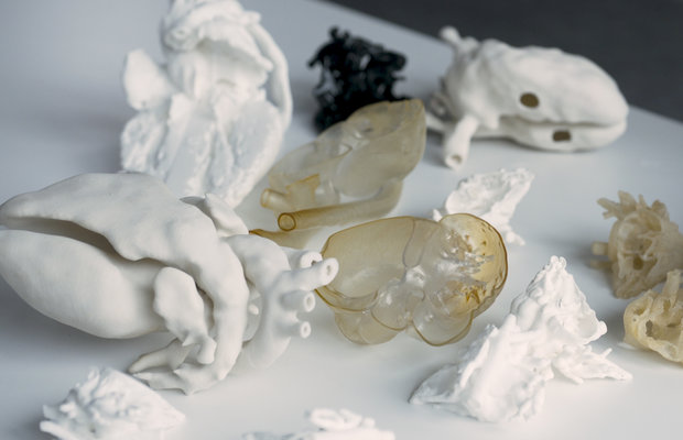 3D models of hearts printed by researchers from the British Heart Foundation. Photo via the British Heart Foundation.