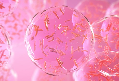 Artists impression of cells encapsulated within a hydrogel. Image via BIOLIFE4D