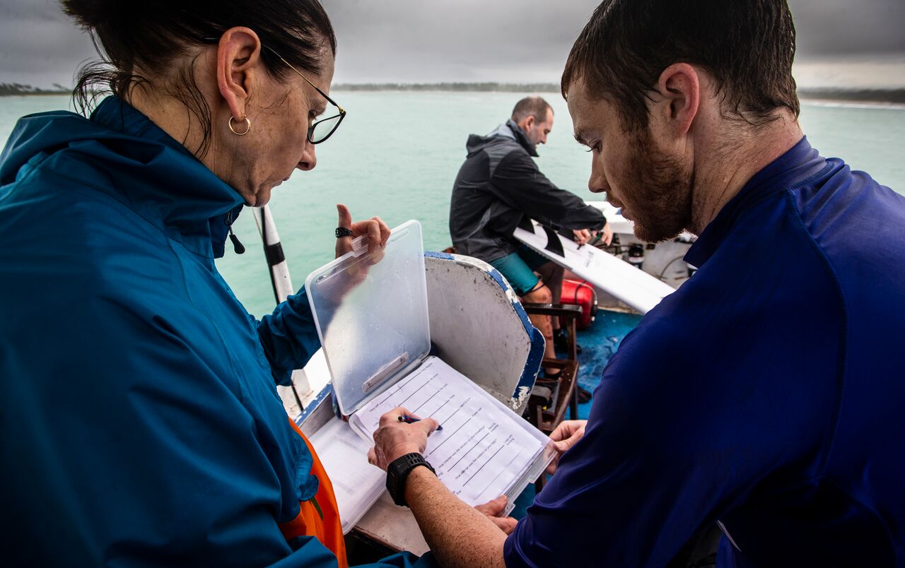 The UOW team recording the data from the surfboard sensors. Photo via UOW.