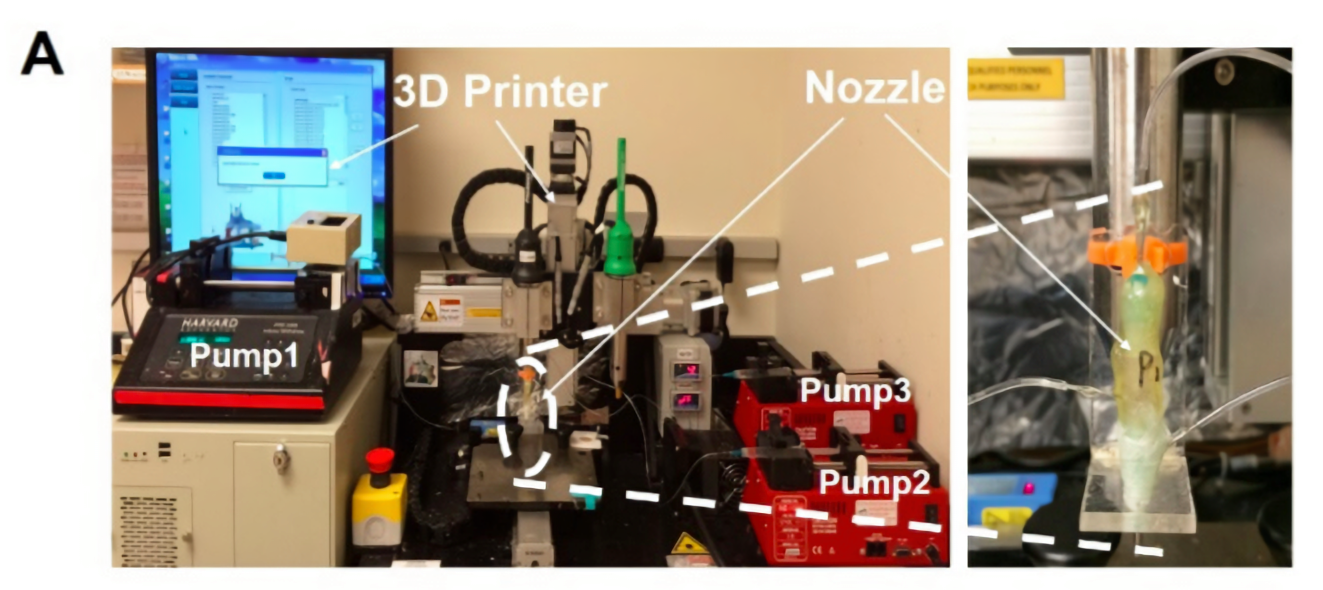 BWH's 3D bioprinter. Photo via Advance Materials.