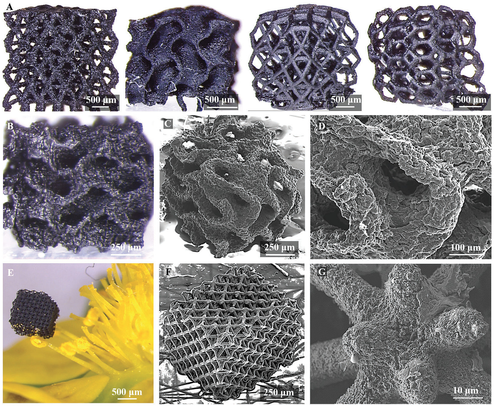 Lattice "trusses" and gyroidal 3D printed graphene made in the Virginia Tech/LLNL study. Image via Materials Horizons