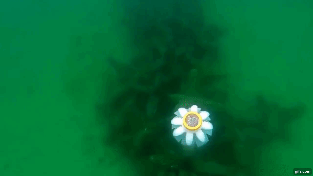 The jellyfish robot navigating through the ocean. Clip via FAU.