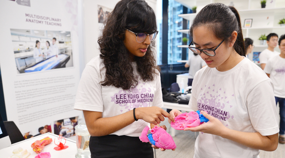 Students at the Transform Medical Education (Transform MedEd) conference using 3D printed anatomical models. Photo via NTU Singapore.