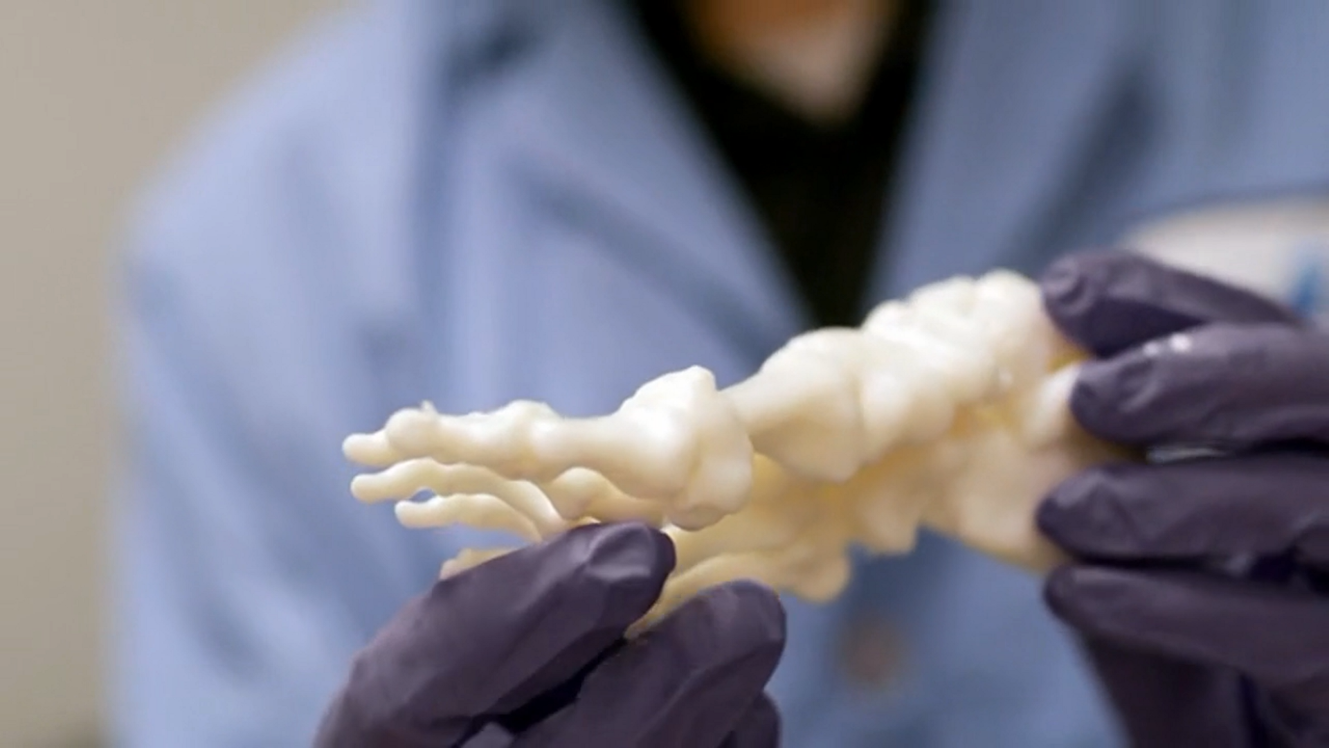 A 3D printed anatomical model by PrinterPrezz. Image via PrinterPrezz