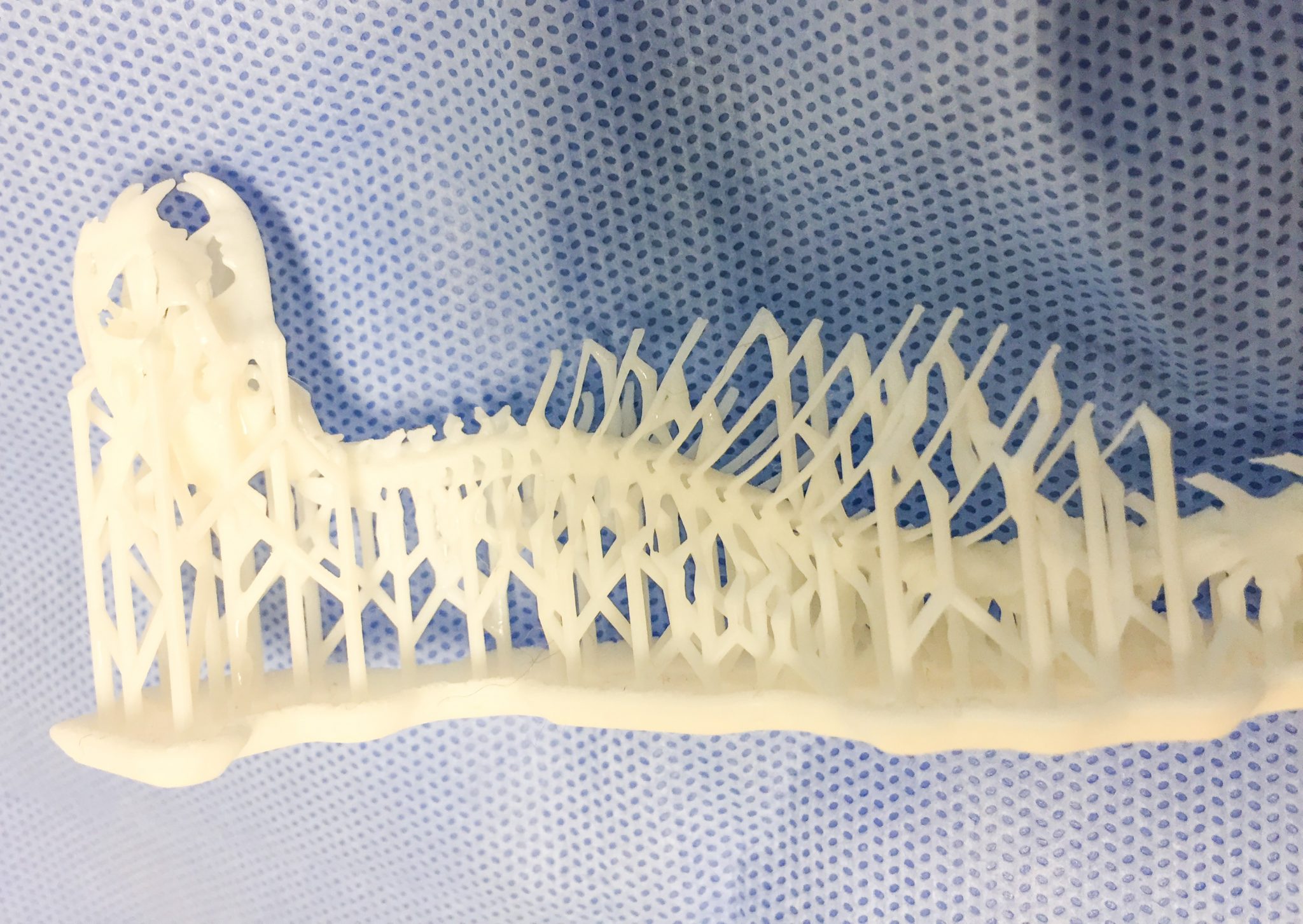 A 3D printed example of abnormal pathology in a cat. Image via Lincoln Memorial University