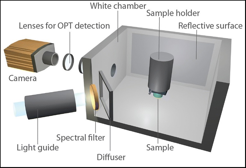 The oblique illumination/imaging chamber for reflected light imaging. It is crucial to use a reflective chamber, lined with white paper, to promote diffuse illumination. Image via VIB-KU Leuven.