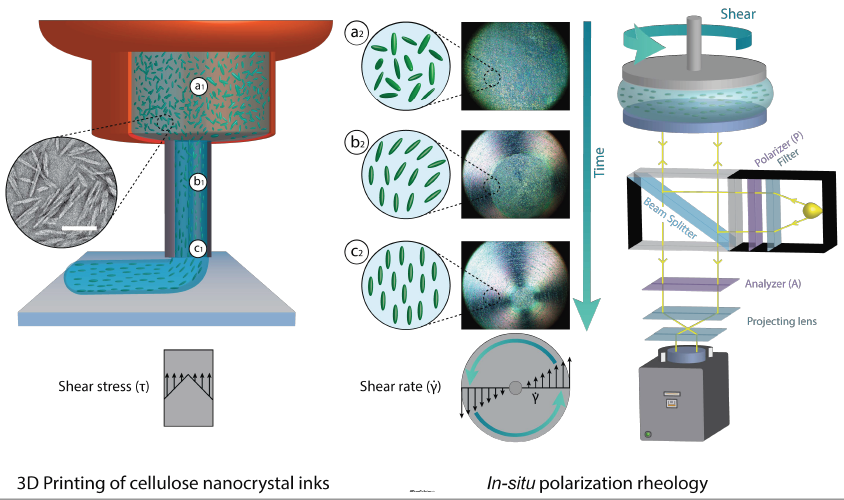 Illustrations of the direct ink writing 3D printing process (left) and in situ polarization rheology (right) used in the Empa study. Image via ACS Nano