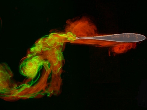 An experiment revealing ideal airfoil shapes for flapping flight, with the flows generated at the front part of the wing [red] and the rear [green] visualized using fluorescent dyes. Image via NYU.