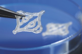 A microscopic 3D printed structure. photo via Fraunhofer ILT.