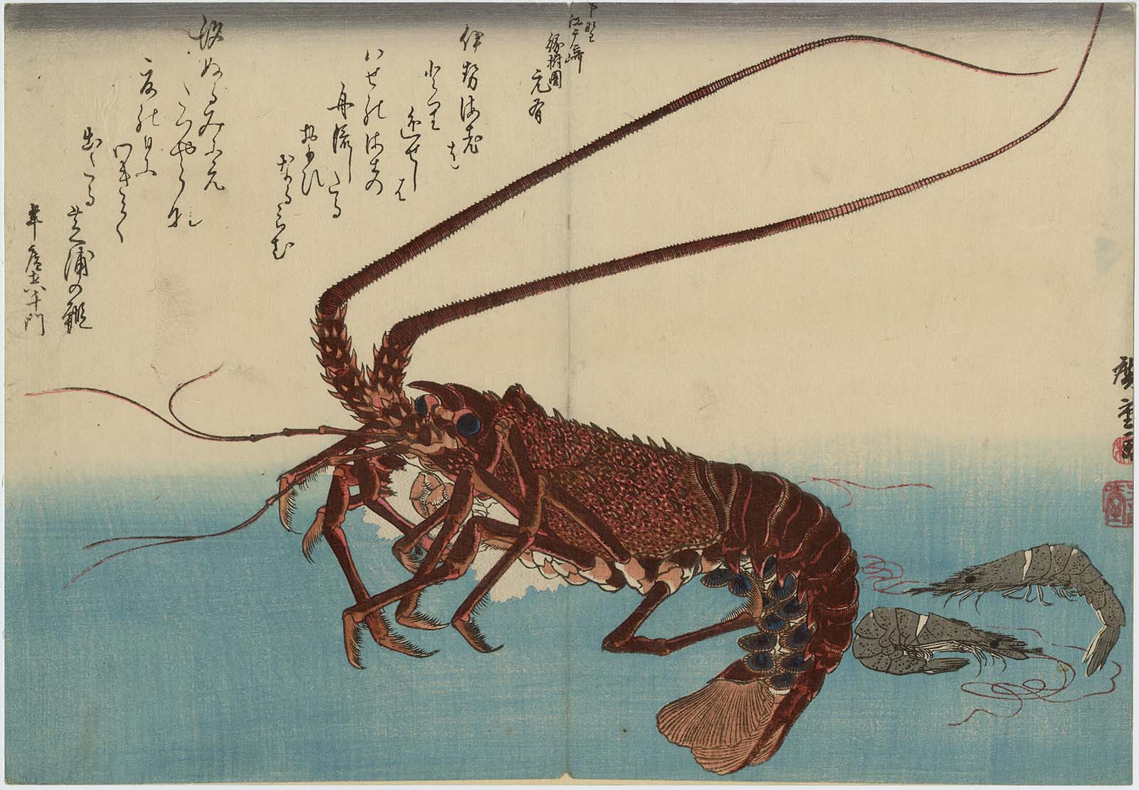 Japanese artwork depicting a Lobster and some shrimps. These are some of the crustaceans used to make Chitosan. Image via Museum of Fine Arts.