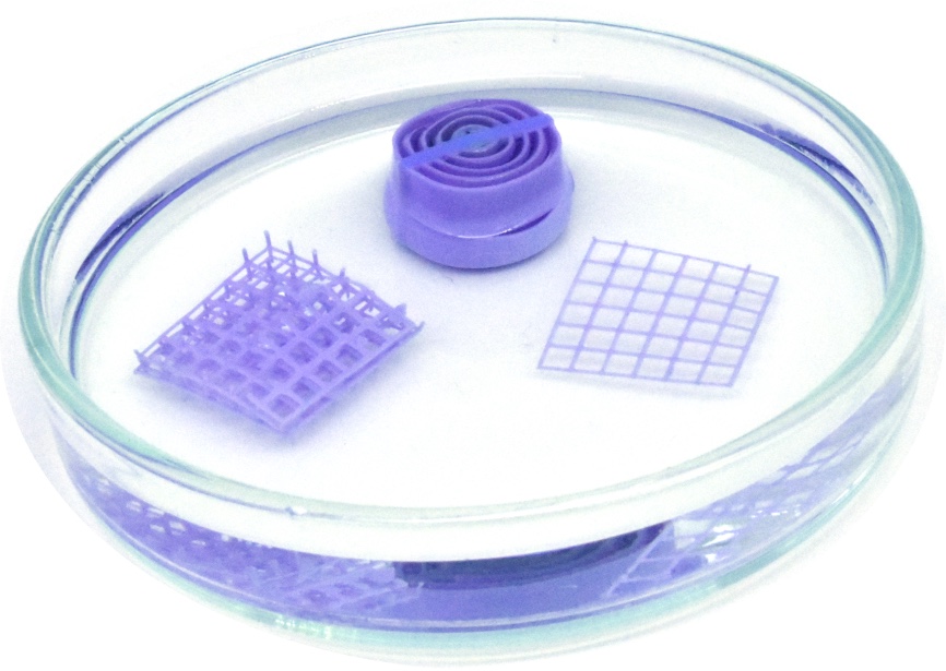 Variations of the 3d printable water sensor devices. When dried, in a water-free solvent, the sensor material turns purple. Image via UAM/Verónica García Vegas.