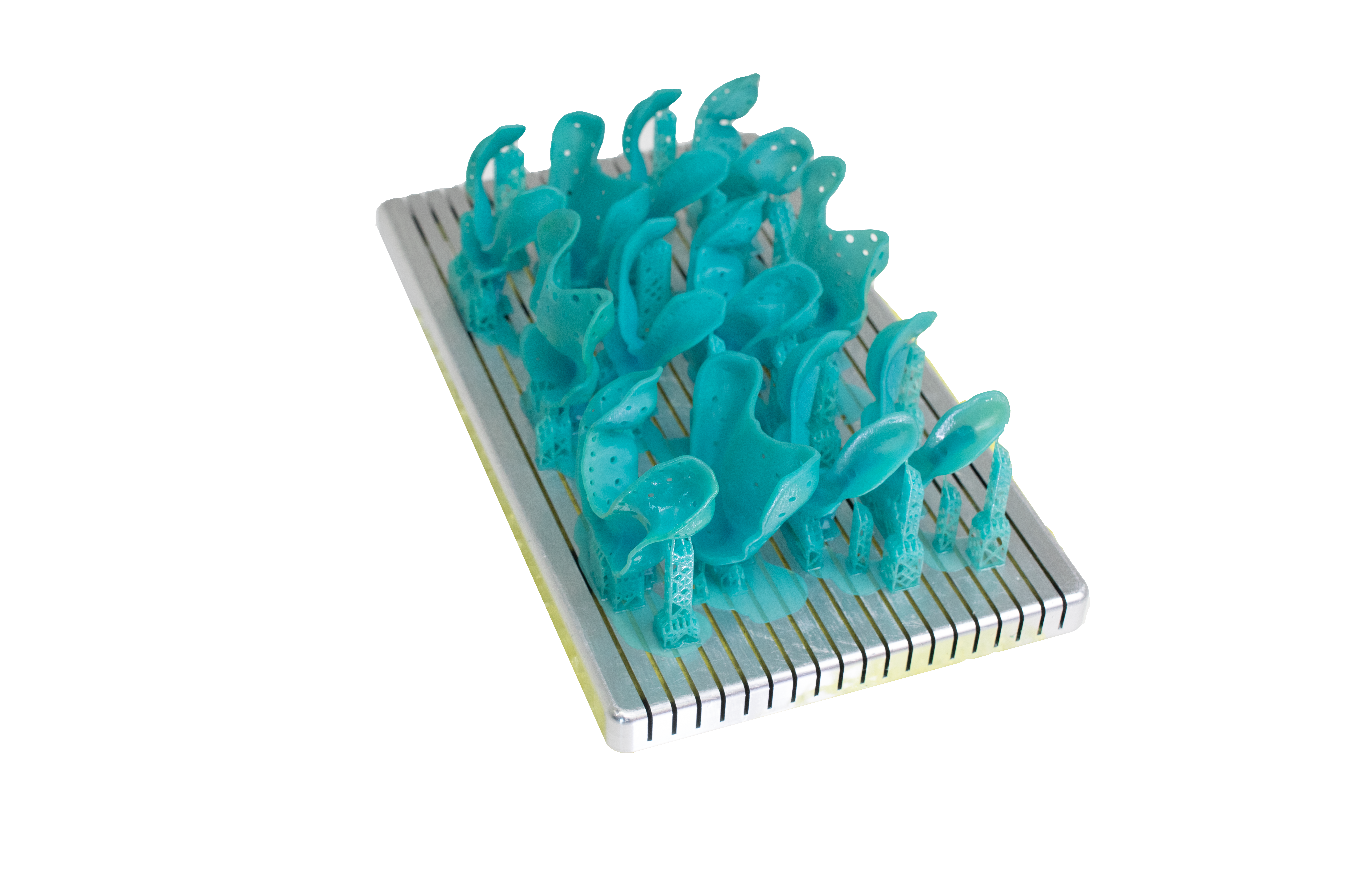 3D printed dental trays from the Varseo Xl. Image via IDS/BEGO.