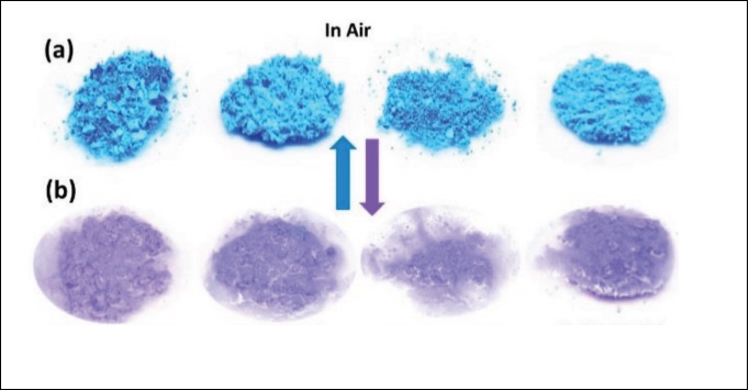 Photographs of a) CP1 in air and b) CP1 after soaking for 1–5 min in different dry organic solvents where the change of color is evident. Image via UAM.