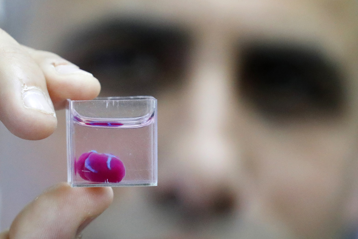 The Tel Aviv University 3D bioprinted heart. Photo AFP/Jack Guez.