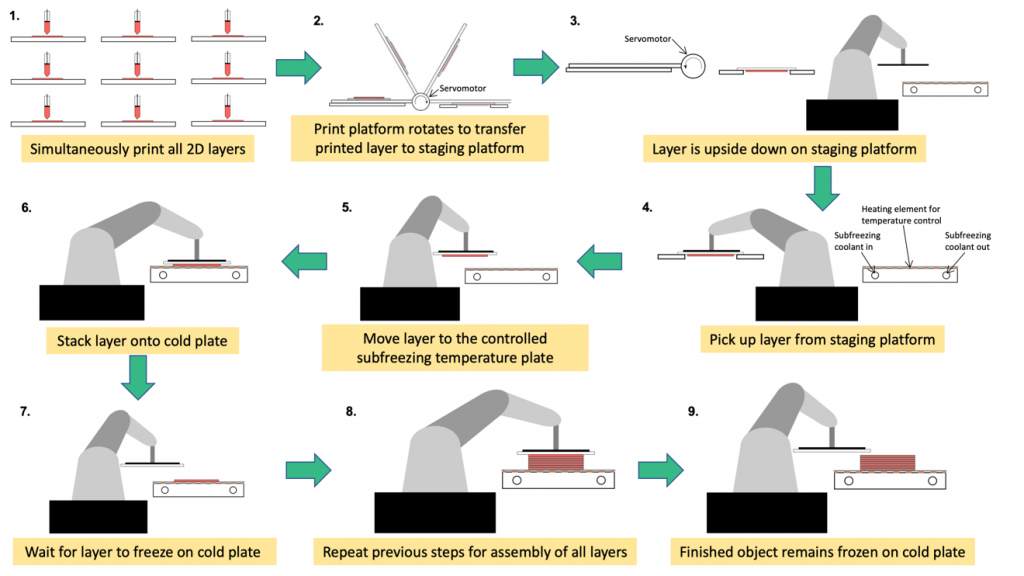 Step by step of the UC Berkeley multilayer cryolithography method. Image via ASME Journal of Medical Devices