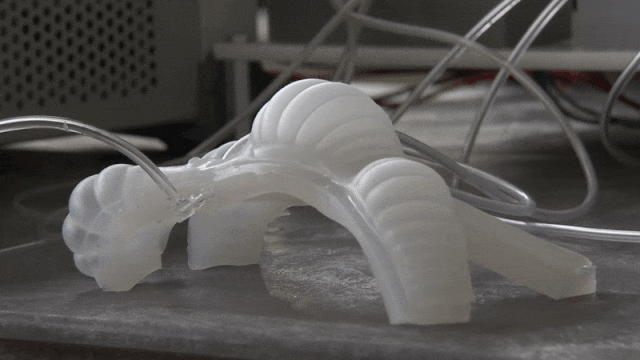 A soft robot developed by Chuck Sullivan and Jack Fitzpatrick using their actuators from 3D printed silicone molds. Video via NASA.