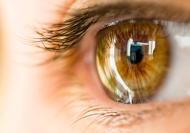A close-up of the human cornea. Photo via iStock.