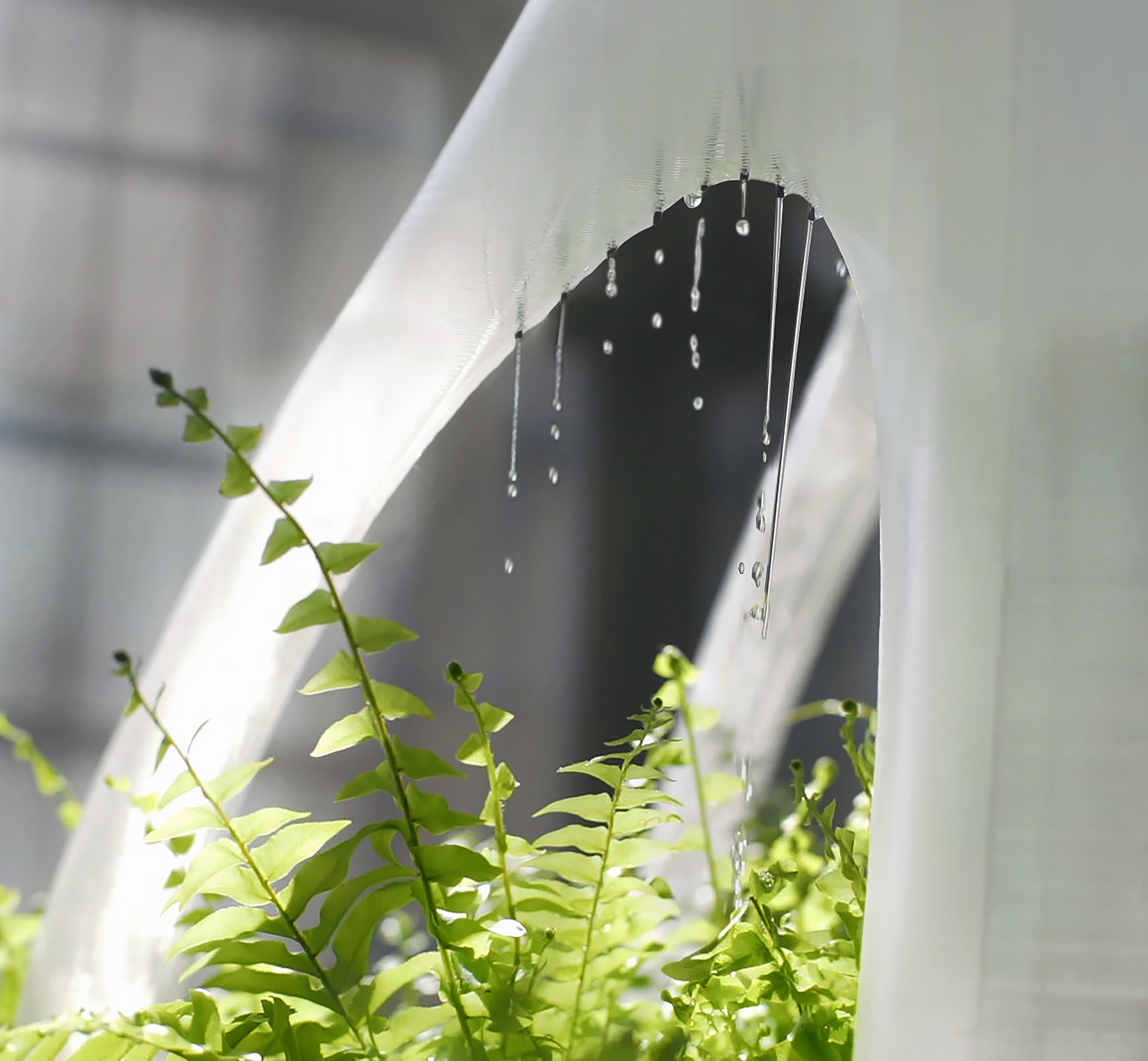 Details of sprinkling water from the BANYAN ECO WALL by BigRep. Image via BigRep.