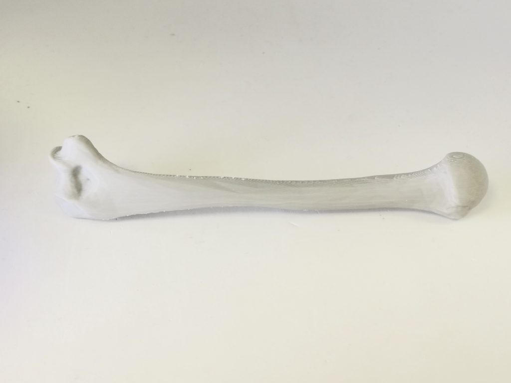 Test print of a bone model using a third party ABS on the Dremel Digilab 3D45