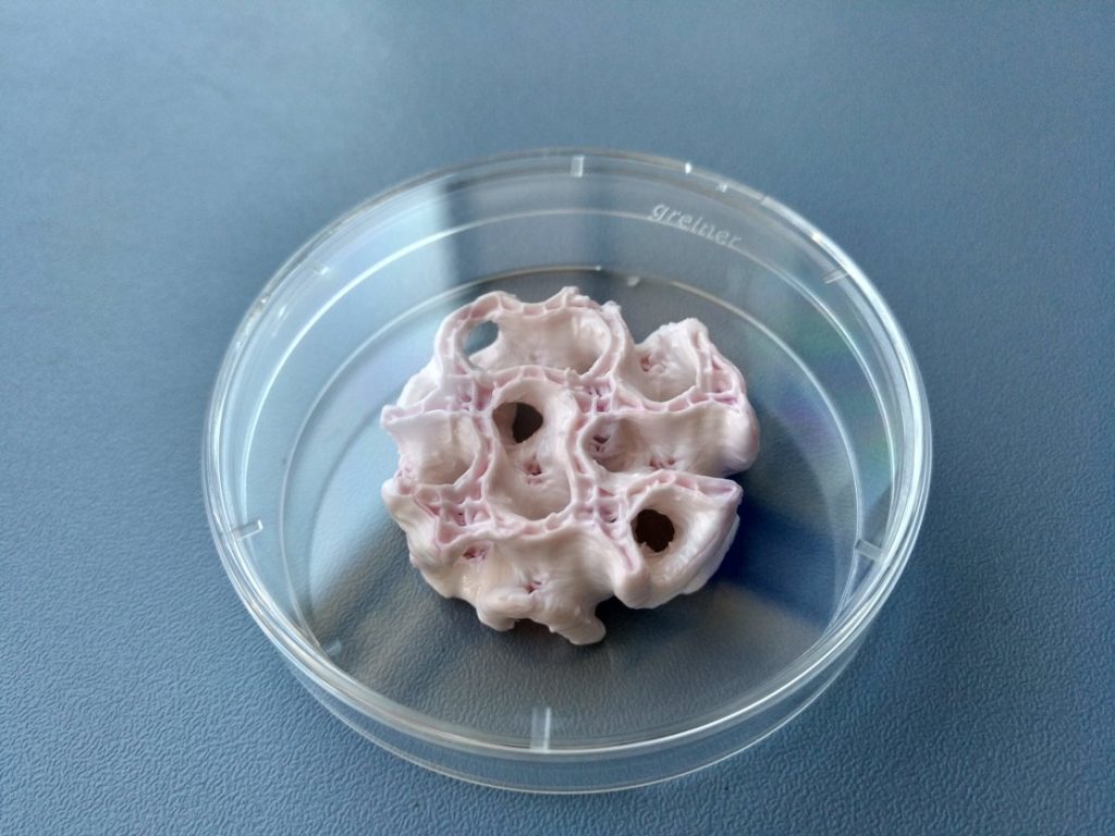A 3D bioprinted sample of artificial bone. Photo via University Hospital of Dresden Technical University