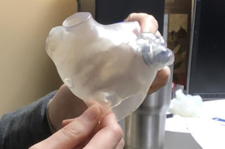 A 3D printed heart model. Photo via the University of Kentucky.