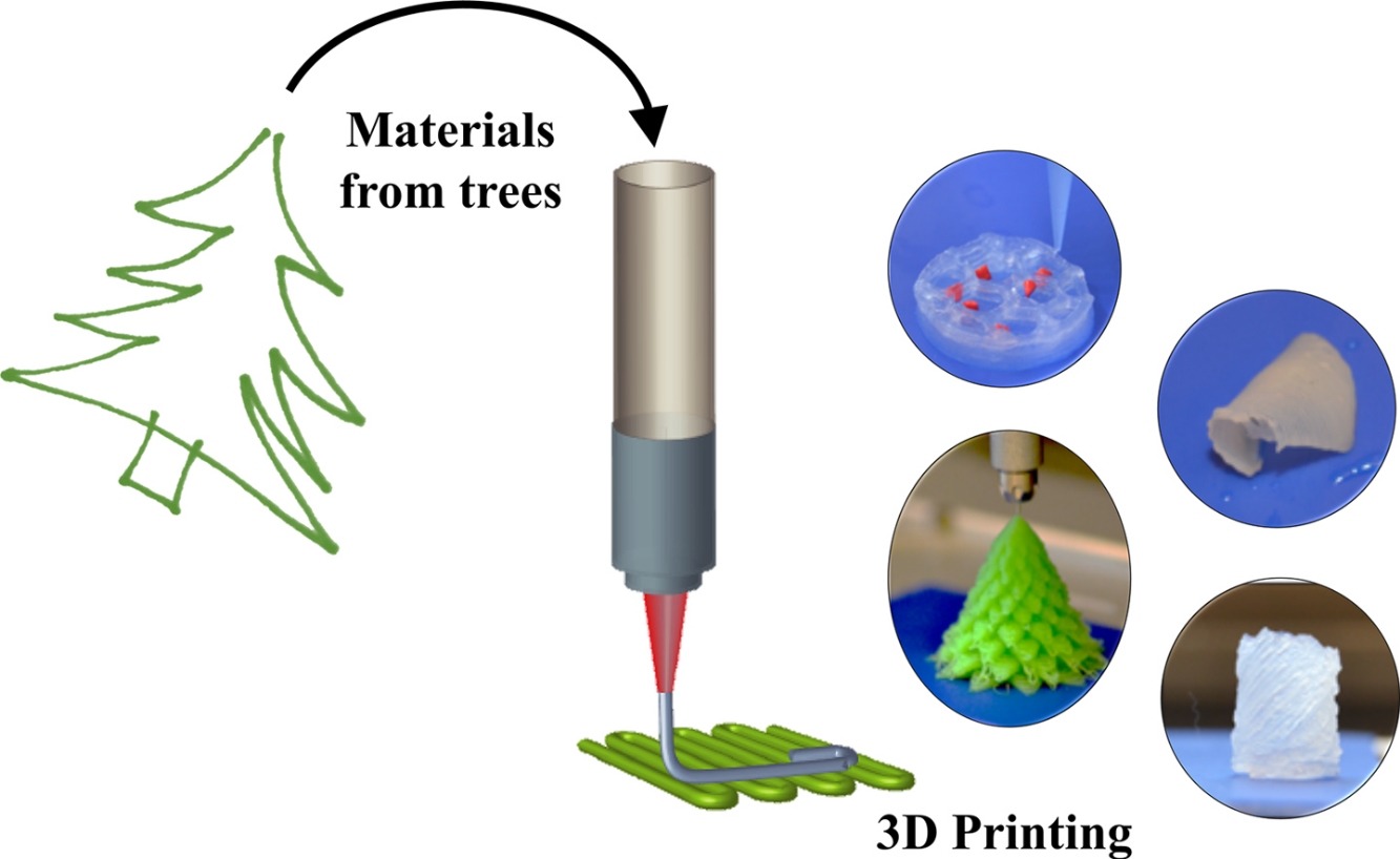 3D printing from wood tissues into models .Image via Chalmers University of Technology.