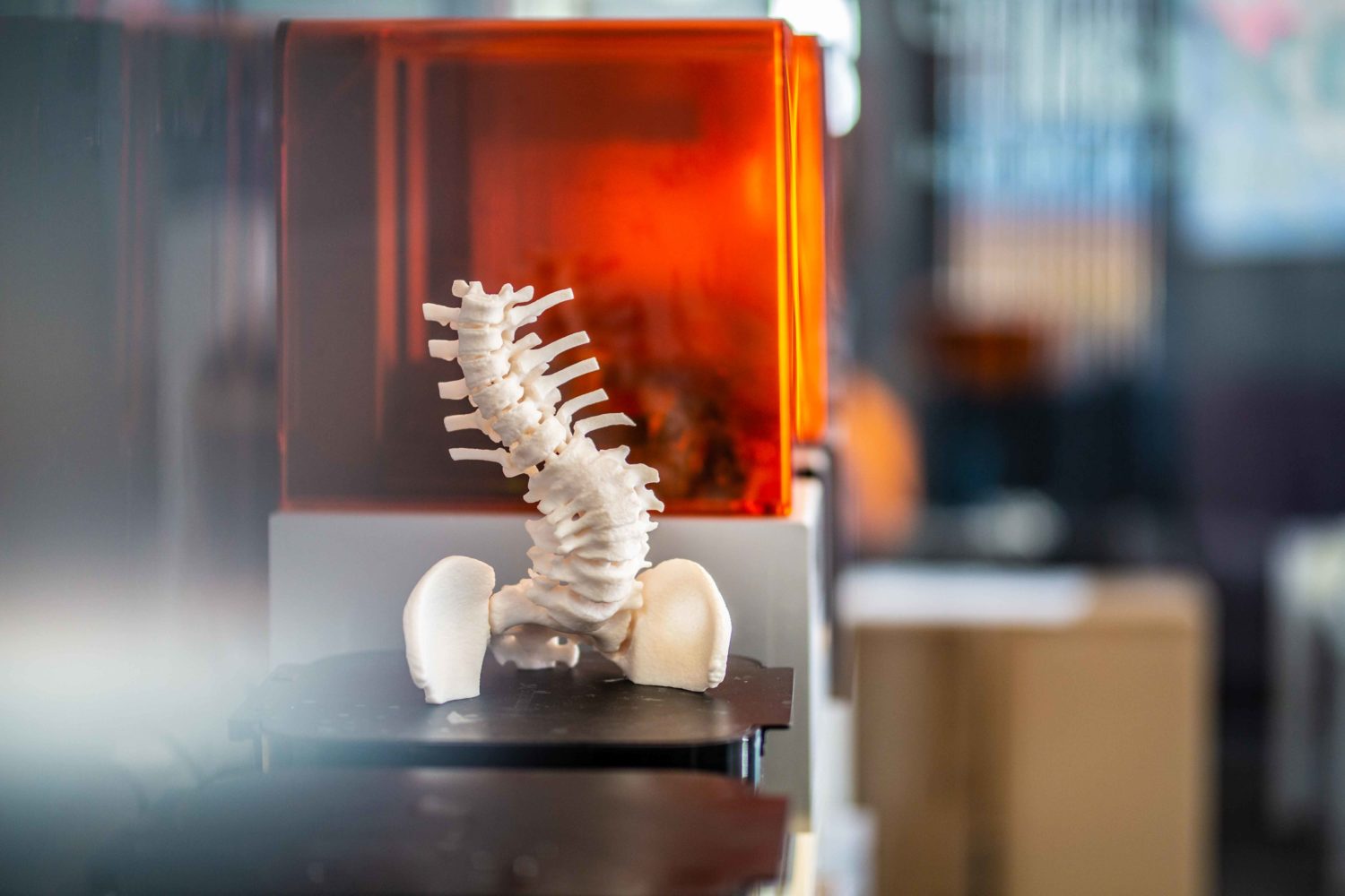 An anatomical model of a spine 3D printed by axial3D. Photo via axial3D