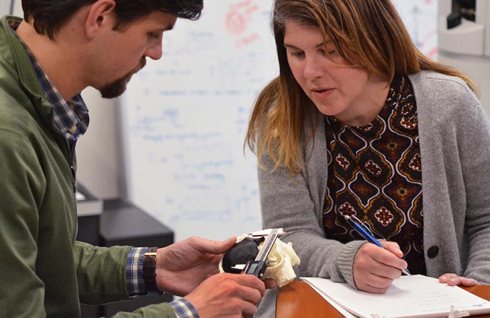 Dr. Beth Ripley and Brian Strzelecki perform a quality check on a 3D printed model of a kidney. Photo via Department of Veterans Affairs.