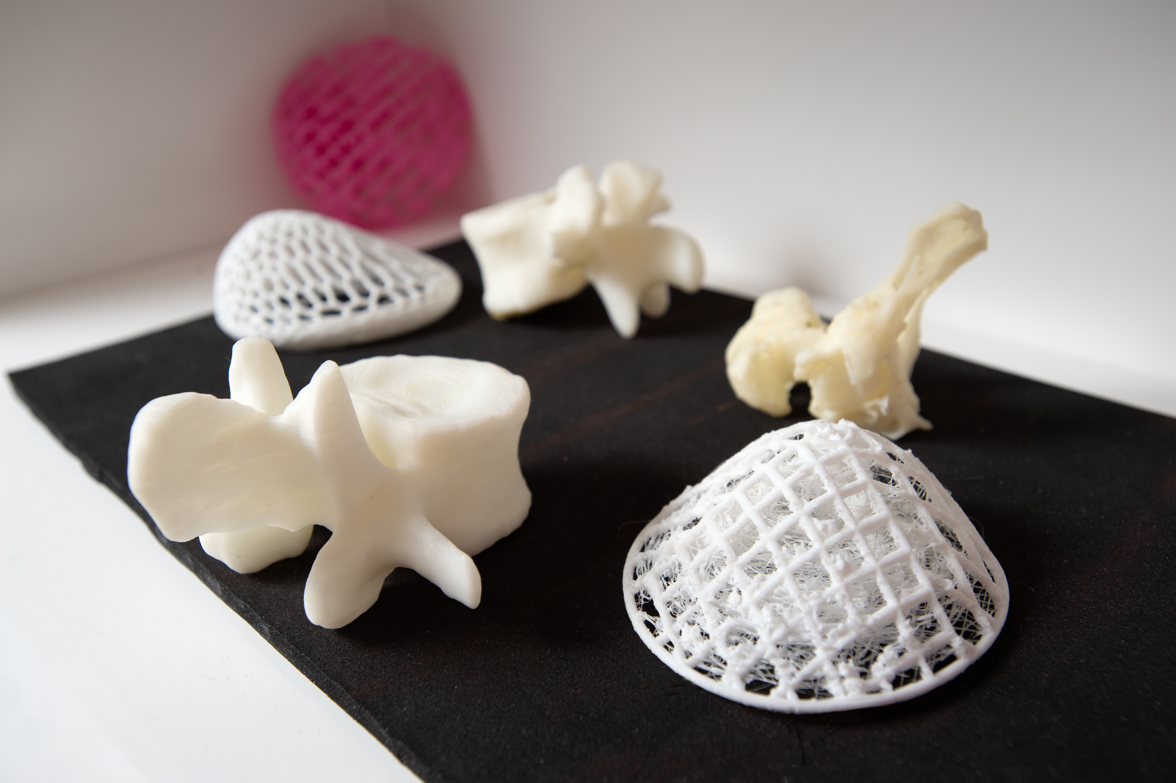 3D printed vertebrae, and breast implant scaffolds. Photo via QUT.