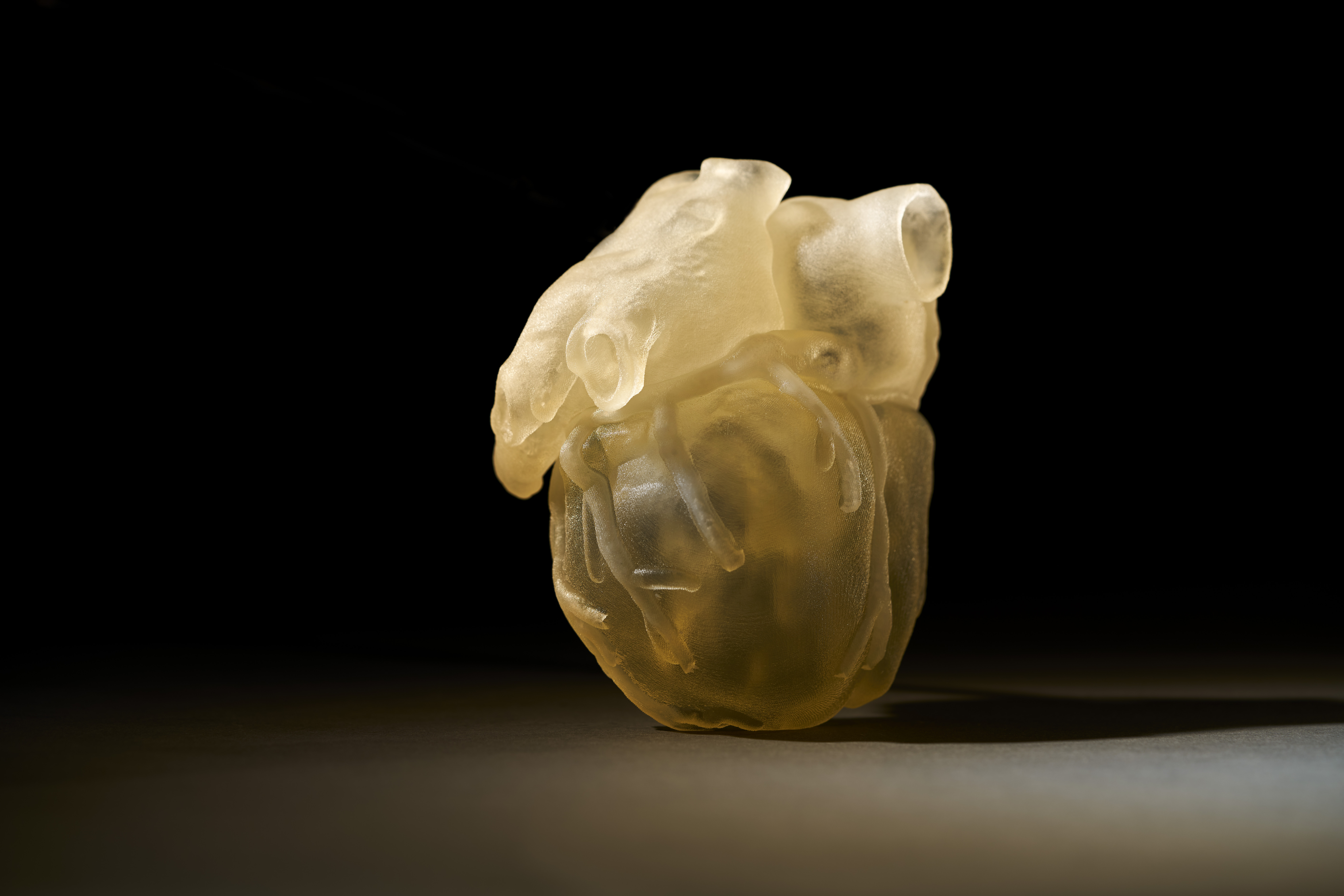 Anatomical heart model made using TissueMatrix on the J750 Digital Anatomy 3D printer. Photo via Stratasys