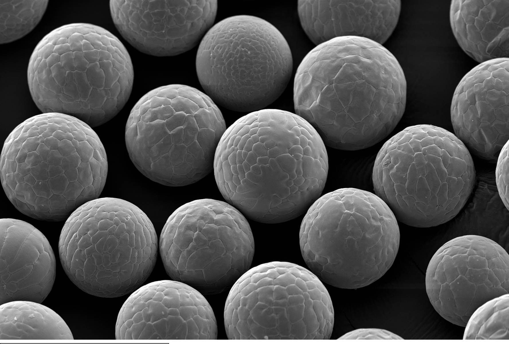 Uniform particles of Equispheres aluminum alloy powder. Image via Equispheres